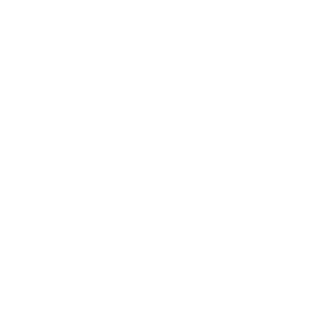 ellipse-484-white